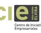 centro de iniciativas empresariales