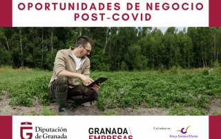 curso oportunidade de negocio por el consorcio de la vega