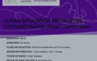 nuevo curso en Atarfe