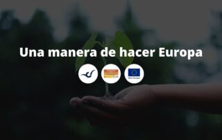 Decidida apuesta por la descarbonización de la economía