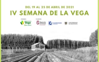 IV Semana de la Vega, Consorcio de la Vega Sierra Elvira