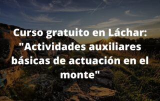 curso gratuito en Láchar